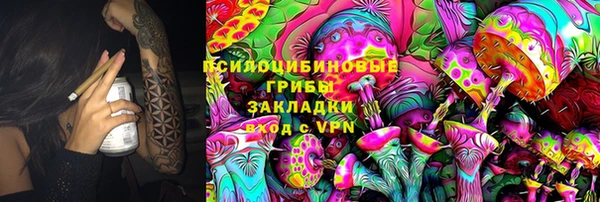 мяу мяу мука Бикин