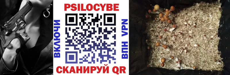 Псилоцибиновые грибы Psilocybe Грайворон